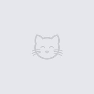 Buzz-Cat